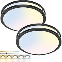 hepside 2 Pack Flush Mount Ceiling Light Fixture Black 16inch