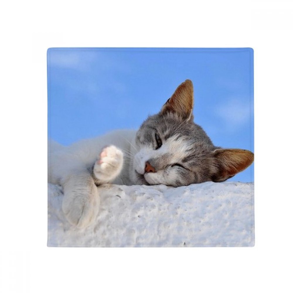 Tapis animal anti-dérapant chat stripes rond multicolore 60x60cm
