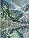 Notebook: Starry Night, Lined Journal/Notebook/Sketchbook/diary, 110 pages, 8.5x11 large print, Soft Cover, Glossy Finish.