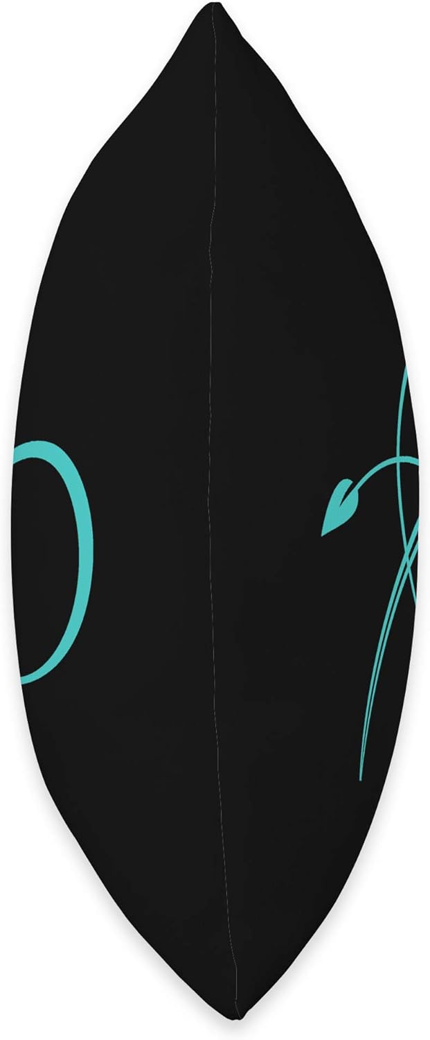 Bright Line Eating Classic Icon - Black and Teal Throw Pillow