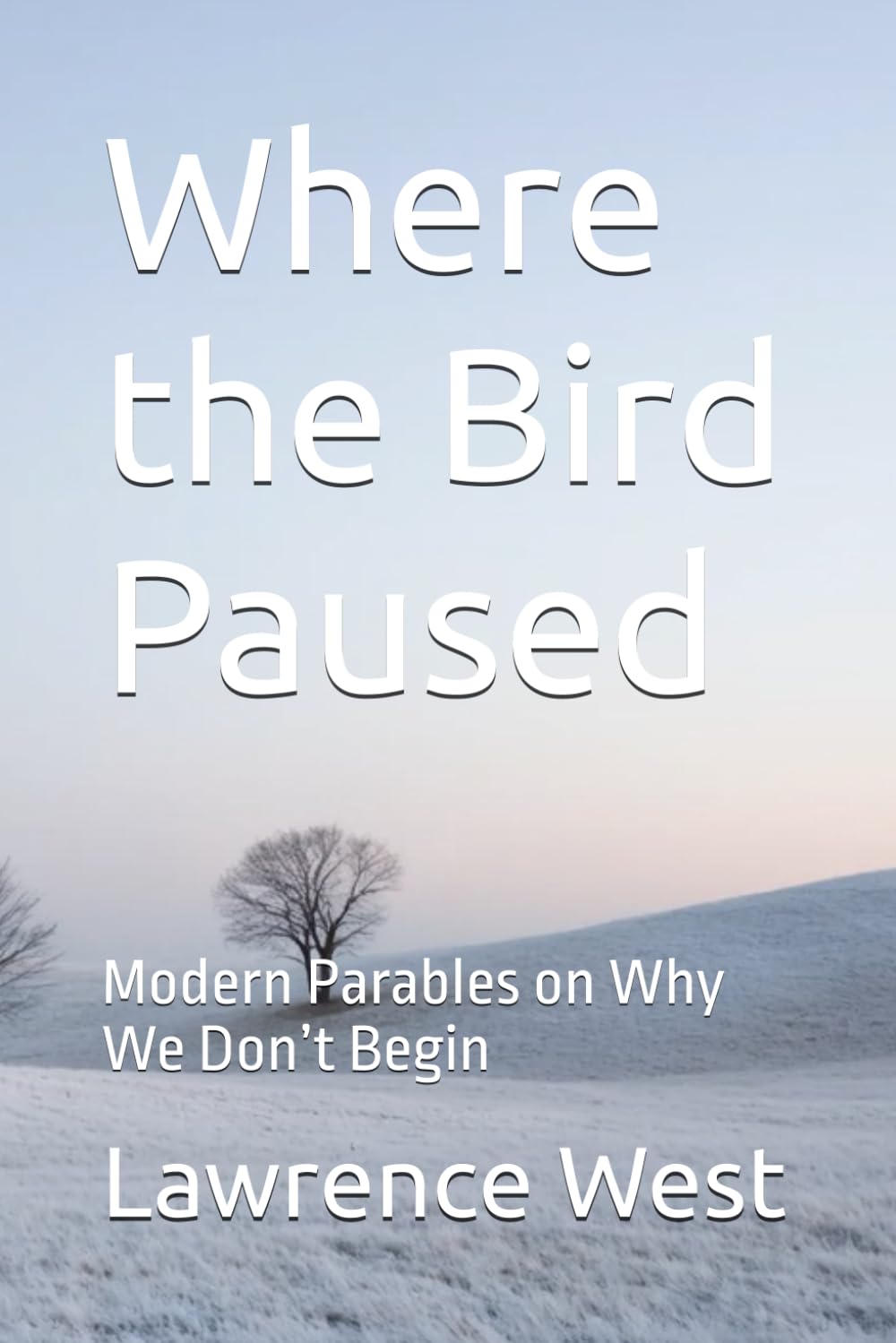 Where the Bird Paused: Modern Parables on Why We Don’t Begin