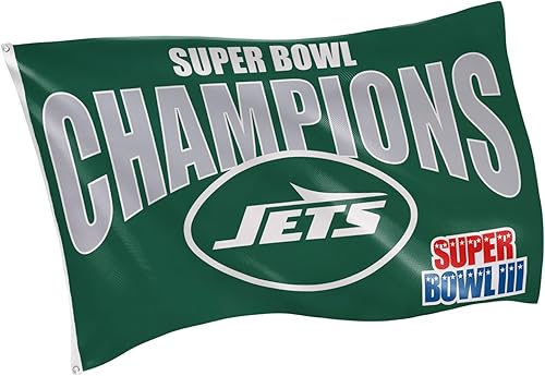 Miniatura 33 de Team Sports America NFL Buffalo Bills - Bandera duradera de 3 x 5 para exteriores con ojales, bandera y pancarta resistentes para jardín al aire