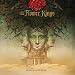 Desolation Rose