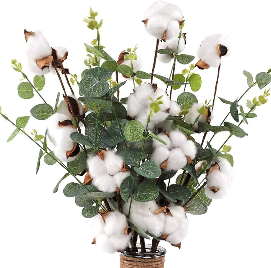 Amazon.co.jp: CEWOR コットンユーカリの茎 23.5インチ コットン
