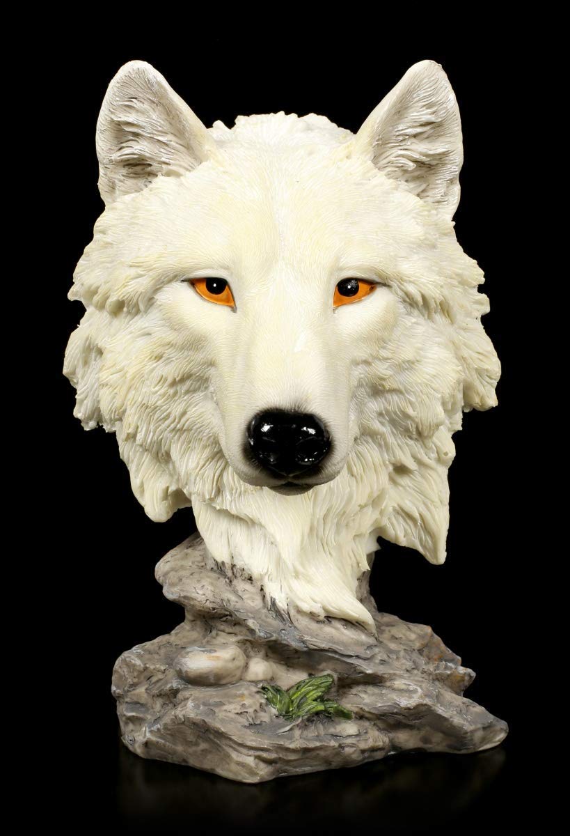 Figuren Shop Gmbh Figurine Décorative Loup Buste - Solitaire Hunter Sculpture Animalière, Peint à la Main