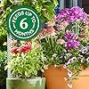 Osmocote Smart-Release Plant Food Plus Outdoor & Indoor - Granular, Continuous Release Plant Fertilizer with 11 Essential Nutrients, 1 lb.