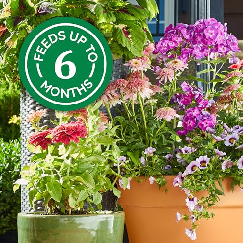 Osmocote Smart-Release Plant Food Plus Outdoor & Indoor1 - Granular, Continuous Release Plant Fertilizer with 11 Essential Nutrients, 1 lb. - Image 6