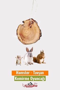 Hamster - Tav an Kemirme Oyunca