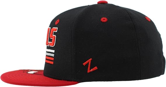 ZHATS NBA Unisex Kids NBA Officially Licensed Youth Adjustable Snapback Hat Flat Bill Z11 Pitch