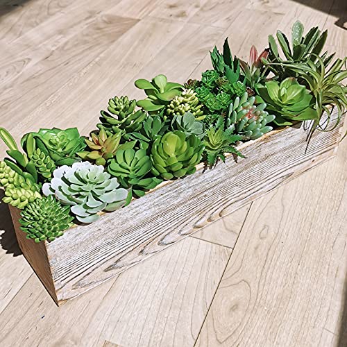 Winlyn 20 Pcs Assorted Artificial Succulents Plants Unpotted Small Green Cactus Echeveria Air Plant Picks Fake Succulents Bulk For Succulent Garden Wreath Floral Arrangement Indoor Outdoor Home Decor #TOP6