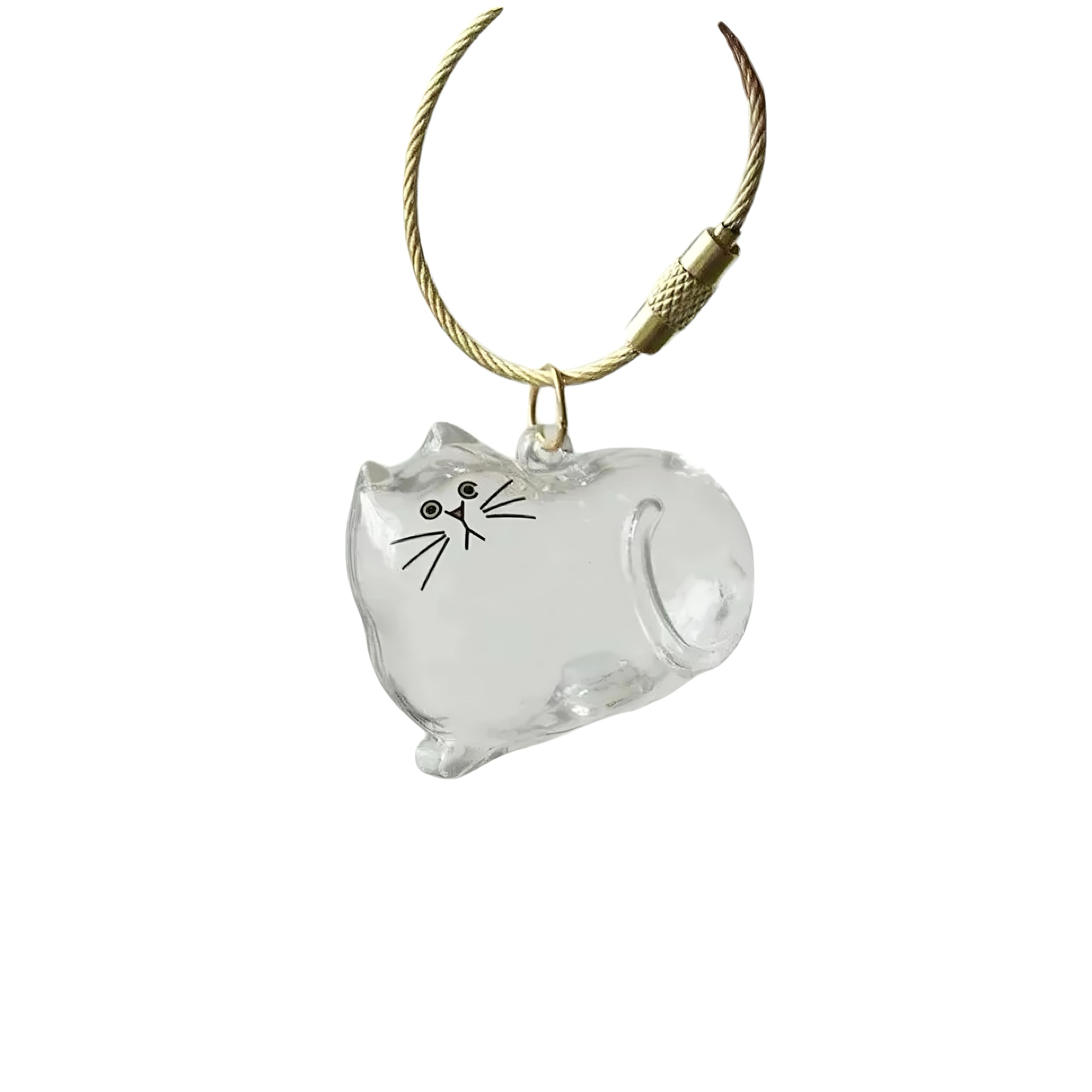 LALXUIEYC Cat Hair Storage Keychain: Pet Fur Keepsake Collector, Dog Transparent Pendant Memorial Bottle, Cat Lover Collecting Gift (Tabby Cat)