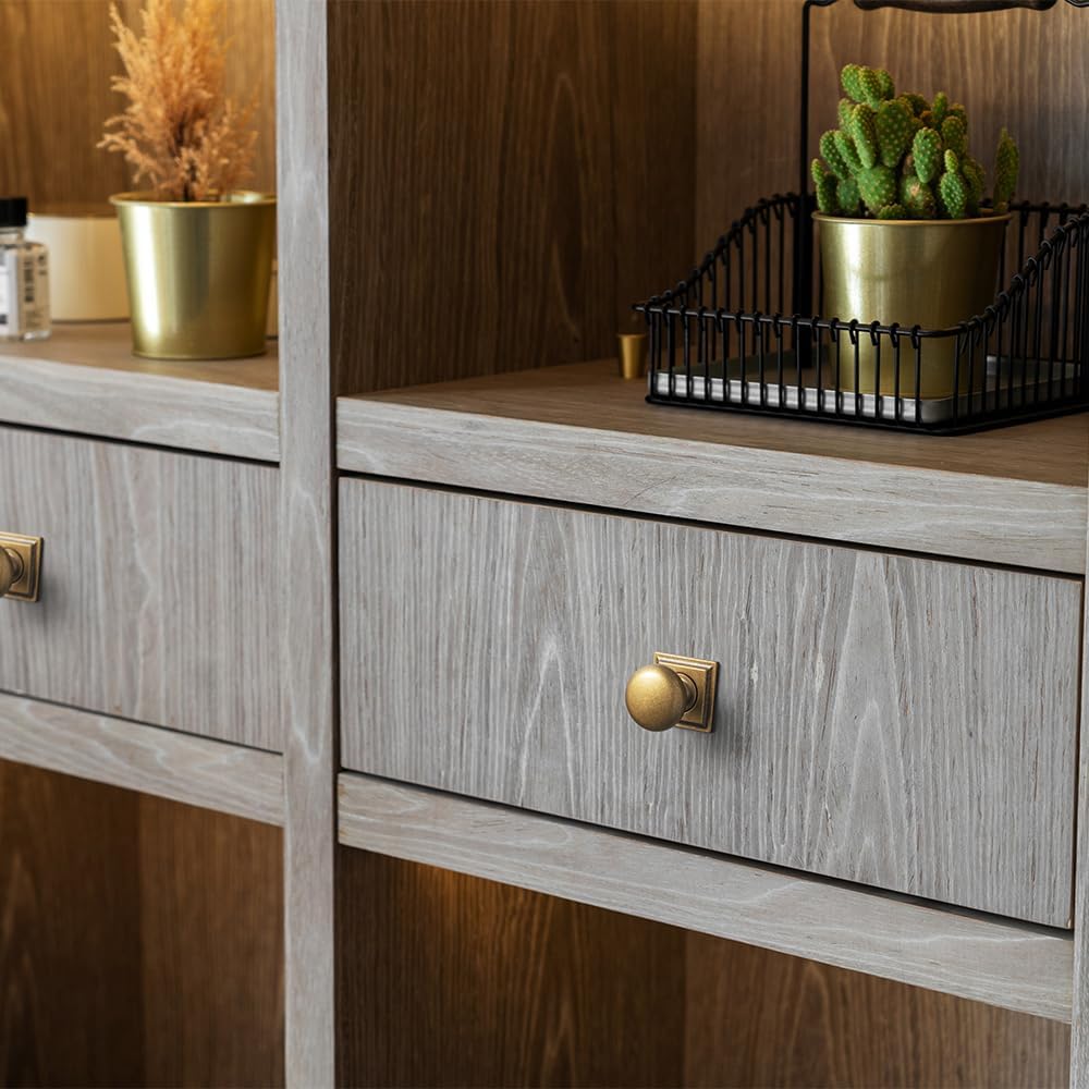 Goo-Ki Antique Brass Zinc Alloy Cabinet Knob with Backplate - Single Hole Center Cabinet Pull Hardware for Bedroom, Kitchen, 6 Pack（8611-F32）