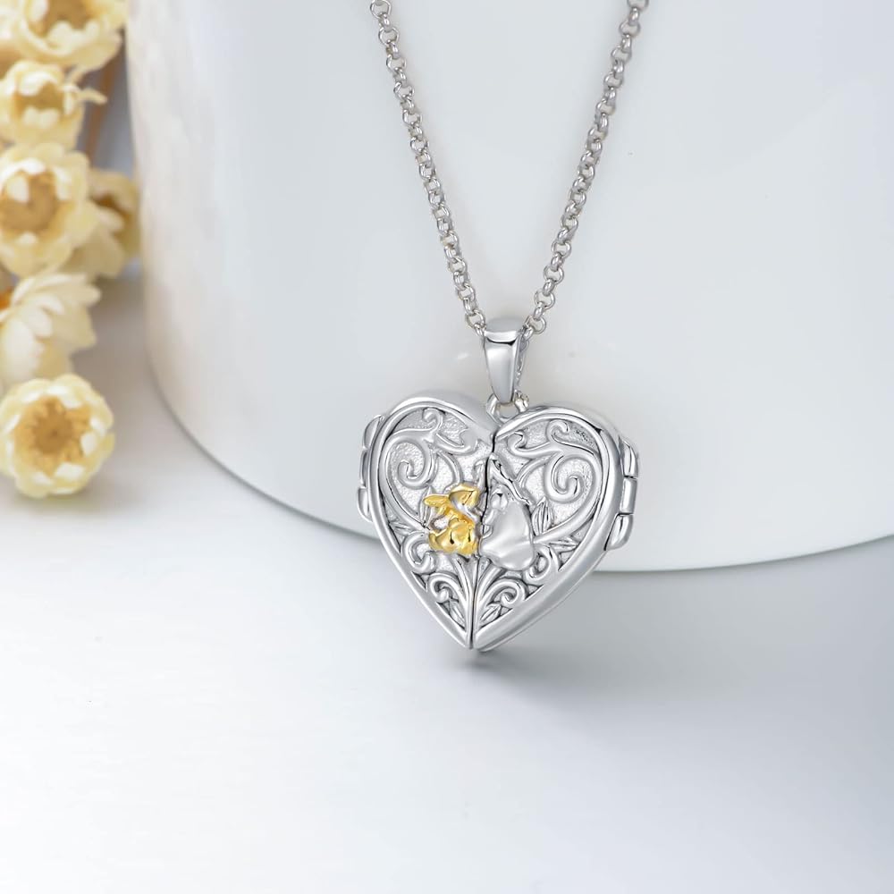 Amazon.com: MISTBEE Rabbit Locket Necklace That Hold