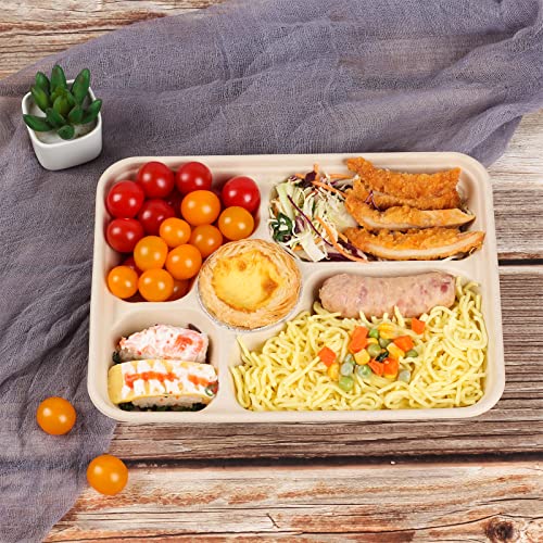 Jayeey 40 Oz 5 Compartments Disposable Plates With Pp Lids Food Container Sets Kids Lunch Box Bento Box Eco-Friendly Plant Fibers Microwave & Freezer Safe 25 Pack #TOP1