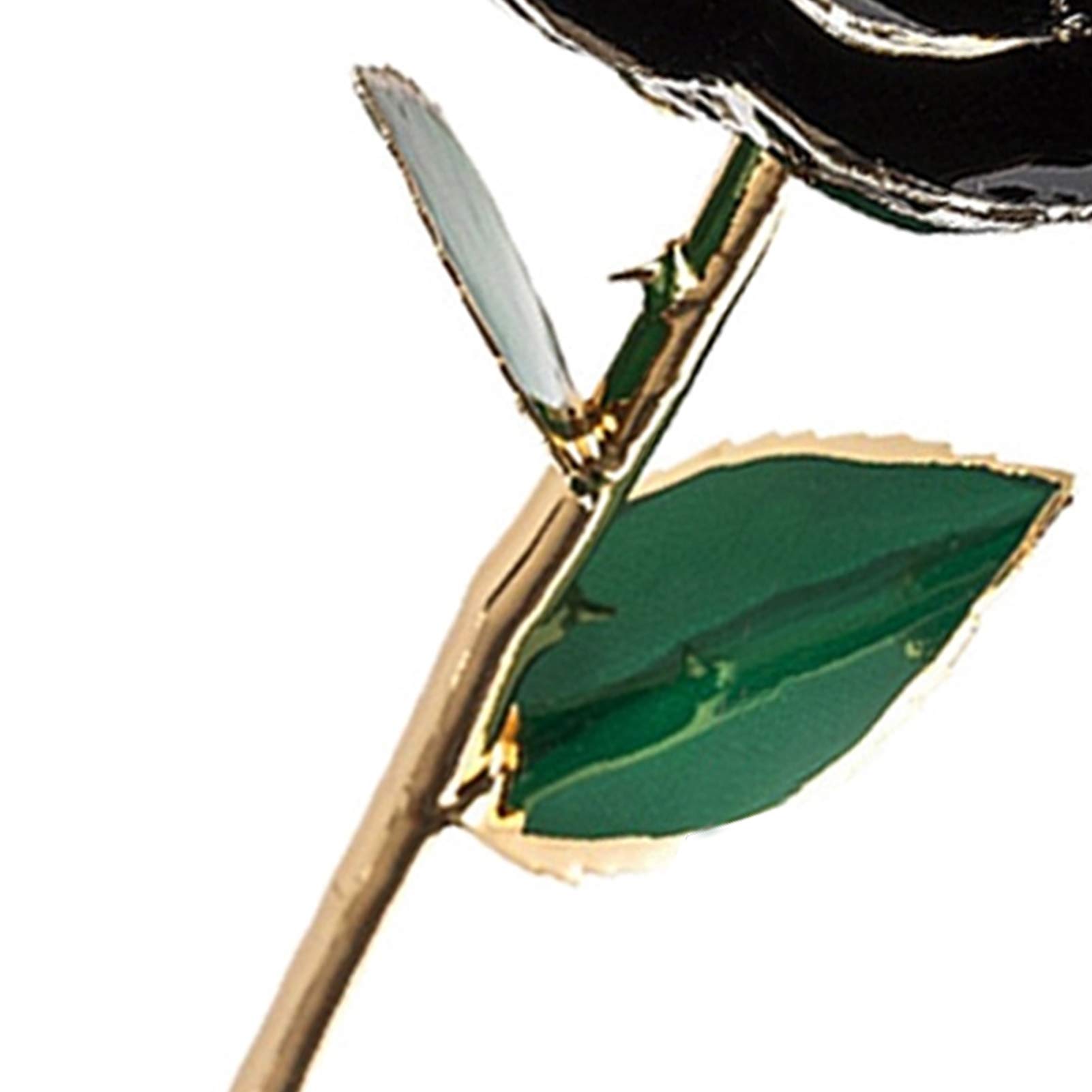 SW Rose Gifts for Women Forever Black Gold Dipped Rose placcato oro 24 k Eternal Flower Rose Compleanno per lei mamma Donne Anniversario San Valentino Festa della mamma