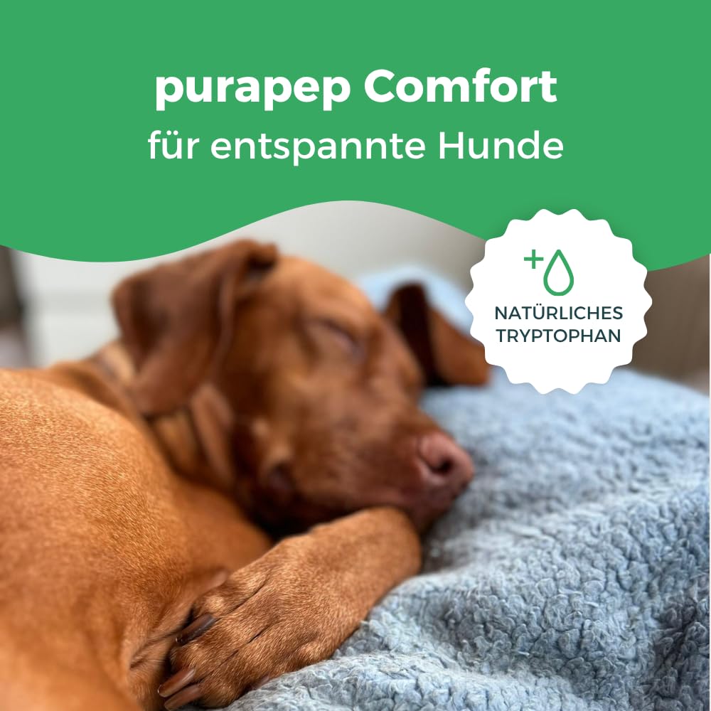 Comfort Hunde Tabs – Natürliches Beruhigungsmittel mit Tryptophan, Magnesium & B Vitaminen – Ideal bei Stress, Angst & Silvester – Für entspannte Hunde in jeder Situation | 120 Tabs