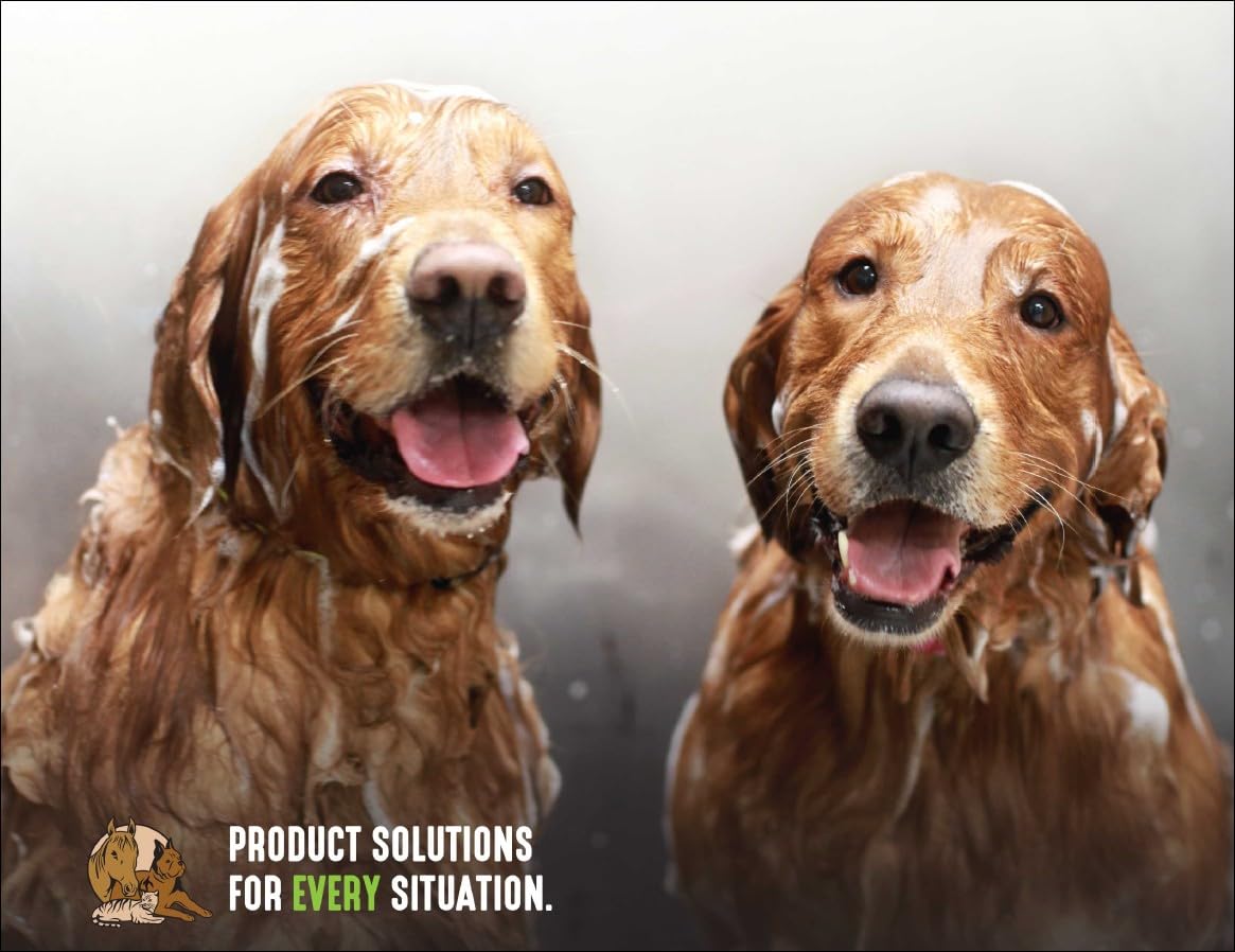 Nature's Specialties Almond Crisp Hundeshampoo - Tiefenreinigendes & Aufbauendes Hundeshampoo - Verleiht Struktur & Volumen - Ideal für Ausstellungsfelle - Lang Anhaltender Duft, 3.8L