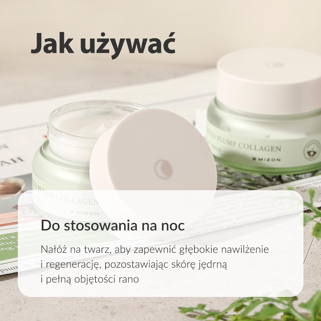 [Mizon] Krem na Noc z Kolagenem Roślinnym Phyto (50ml) Wegański kolagen na bazie roślin, Drobne linie i zmarszczki, Nawilżanie, Pielęgnacja nocna (Phyto Plump Collagen Night Cream)