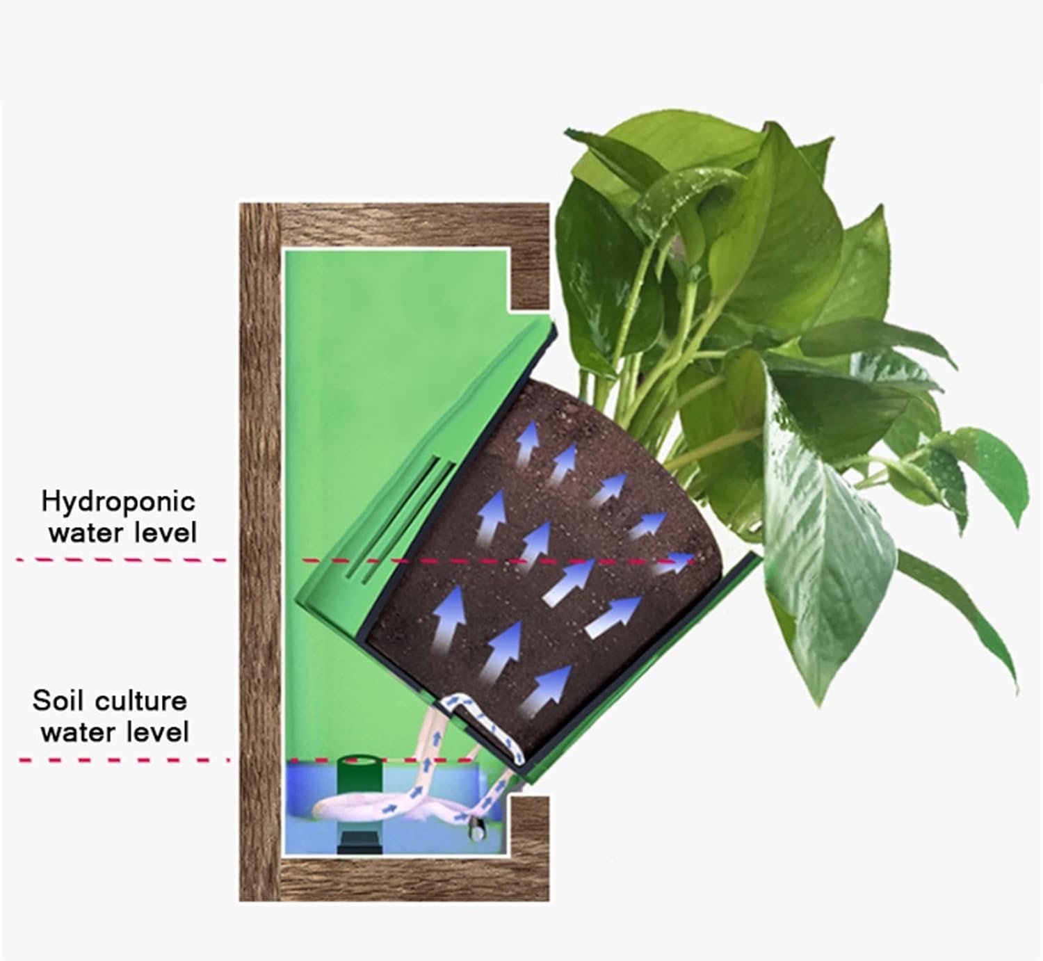 INLIMA Plant Pot Decorative Hydroponic Picture Frame Planter Bracket Vertical Garden Wall Planter