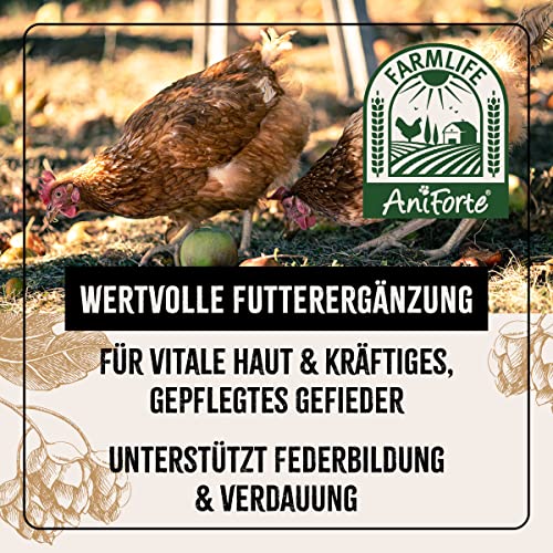 FarmLife Bierhefe für Hühner & Geflügel Spezial Mix 1kg – Natürliche Futterergänzung aus Bierhefe BT, Aroniabeere & Leinkuchenmehl, Unterstützt Verdauung, Haut & Federbildung