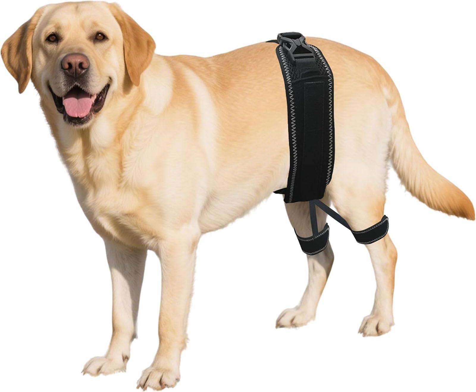 Dog Hip Brace, Dog Hip Dysplasia Brace – Pain Relief, Joint Support, Adjustable Breathable Neoprene, Arthritis & Luxating Patella, Post-Op Recovery, Rear-Leg Mobility Aid,M
