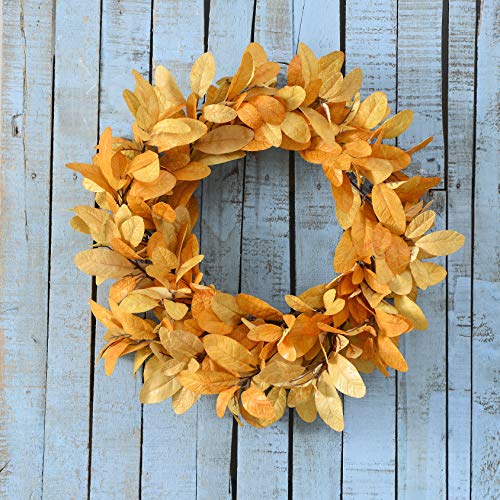 image for YNYLCHMX Fall Wreaths for Front Door, 18