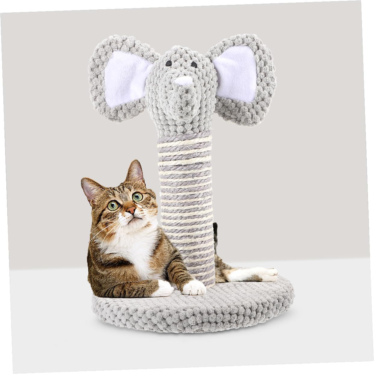 STOBAZA 2pcs Cat Scratching Posts with Natural Sisal Vertical Claw Scratcher Small Cat Climbing for Indoor Kittens
