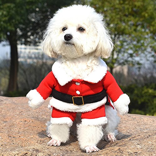 Bolbove Pet Christmas Santa Claus Suit Costume For Small Dogs Cats Jumpsuit Winter Coat Warm Clothes (Red, X-Small) #TOP1