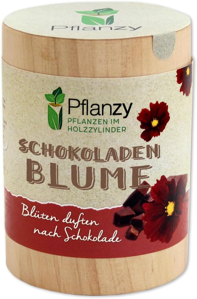 Feel Green „Pflanzy“ – Schokoblume