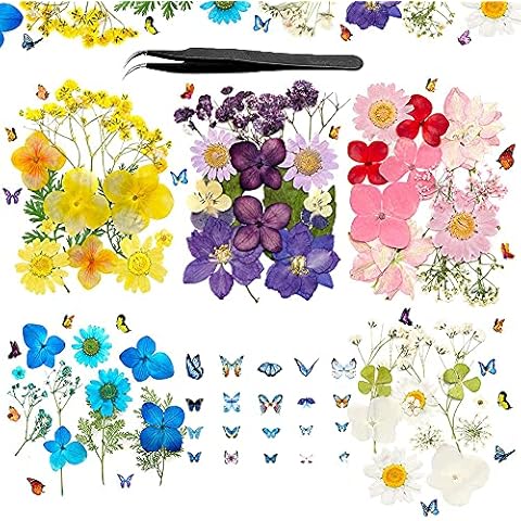Natürliche Getrocknete Blumen, DIY Gepresste Blumen Getrocknete Blüten, Gemischte Getrocknete Blätte, Getrocknet Gänseblümchen, Schmetterlinge Aufkleber für DIY Harz, Scrapbooking, Basteln Cover