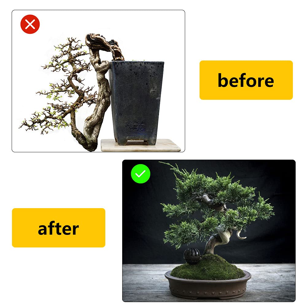Filo Per Bonsai In Alluminio Anodizzato - Set 5 Rotelli Da 1,0mm A 3,0mm | Per Modellare Piante - Foto 2