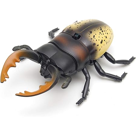 Amazon Goodsland 6type 簡単 操作 リアル 昆虫 ラジコン こども向け こども用 プレゼント かっこいい 子供 室内 Rc 赤外線 通信 Gd Kuwaraji Kuwa B ラジコン ドローン 通販