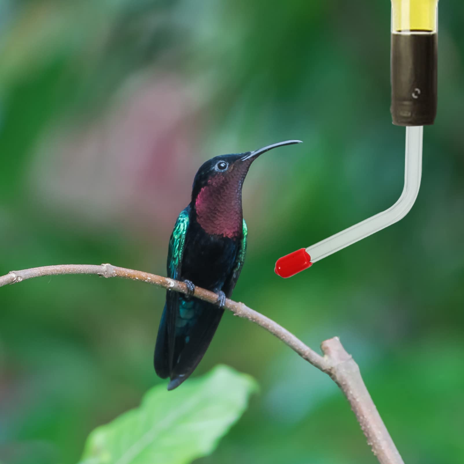 YARNOW 3 Juegos Comedero De Colibrí Bebedero Pajaros Jardin Atracción De Colibríes Comedero para Pájaros En La Ventana Alimentador para Pájaros Multifunción El Plastico 4 Uds * 3