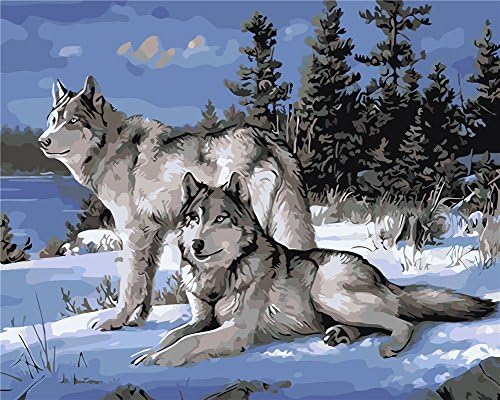 Komking DIY Oil Painting Paint by Numbers for Adults Beginner,Paint by Number Kit Painting on Canvas 16x20inch - Two Wolves Pattern