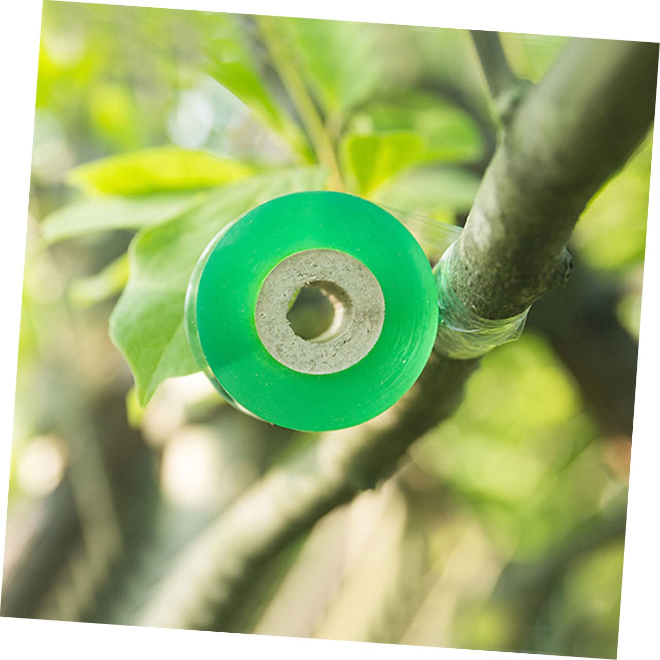 POPETPOP PVC Veredelungsband zum Veredeln 4 Rollen Grün Selbstklebend und Flexibel für Obstbäume und Pflanzen im Garten