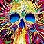 Colorful Skull