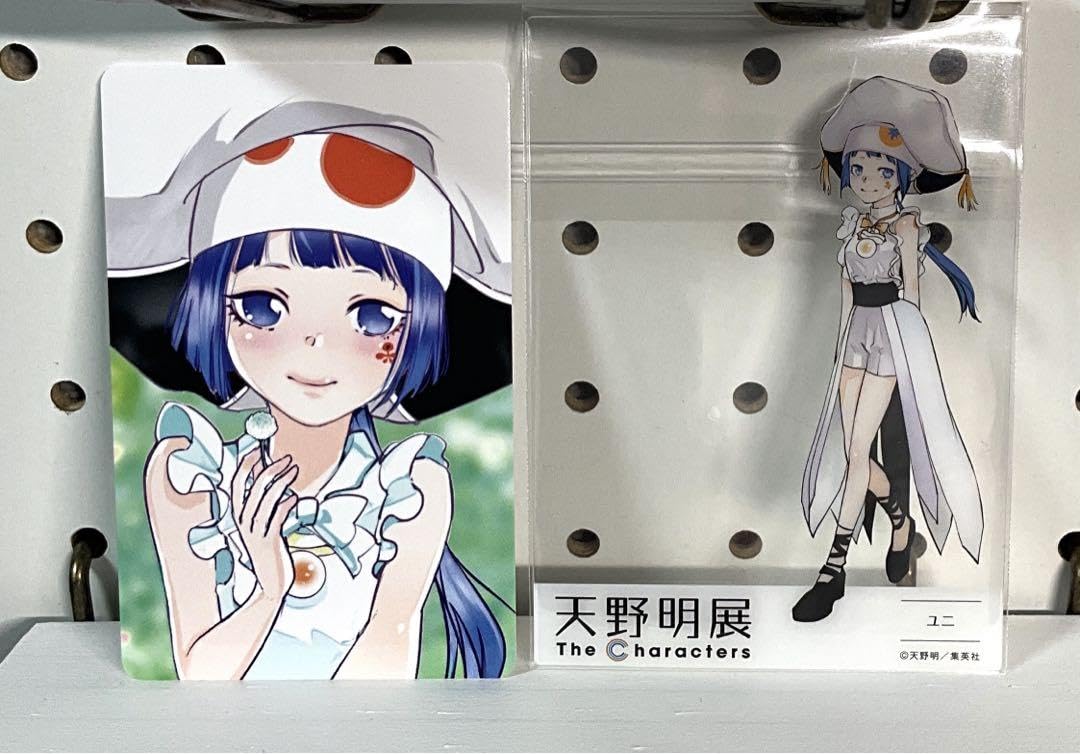 Amazon.co.jp: 家庭教師ヒットマンREBORN! 天野明展 ミル
