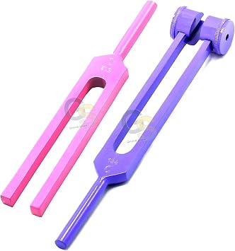 Portable 2 Pcs Standard Musical Violin Tuning Fork Set 128hz & 512 Hz Purple & Pink by G.S Online Store