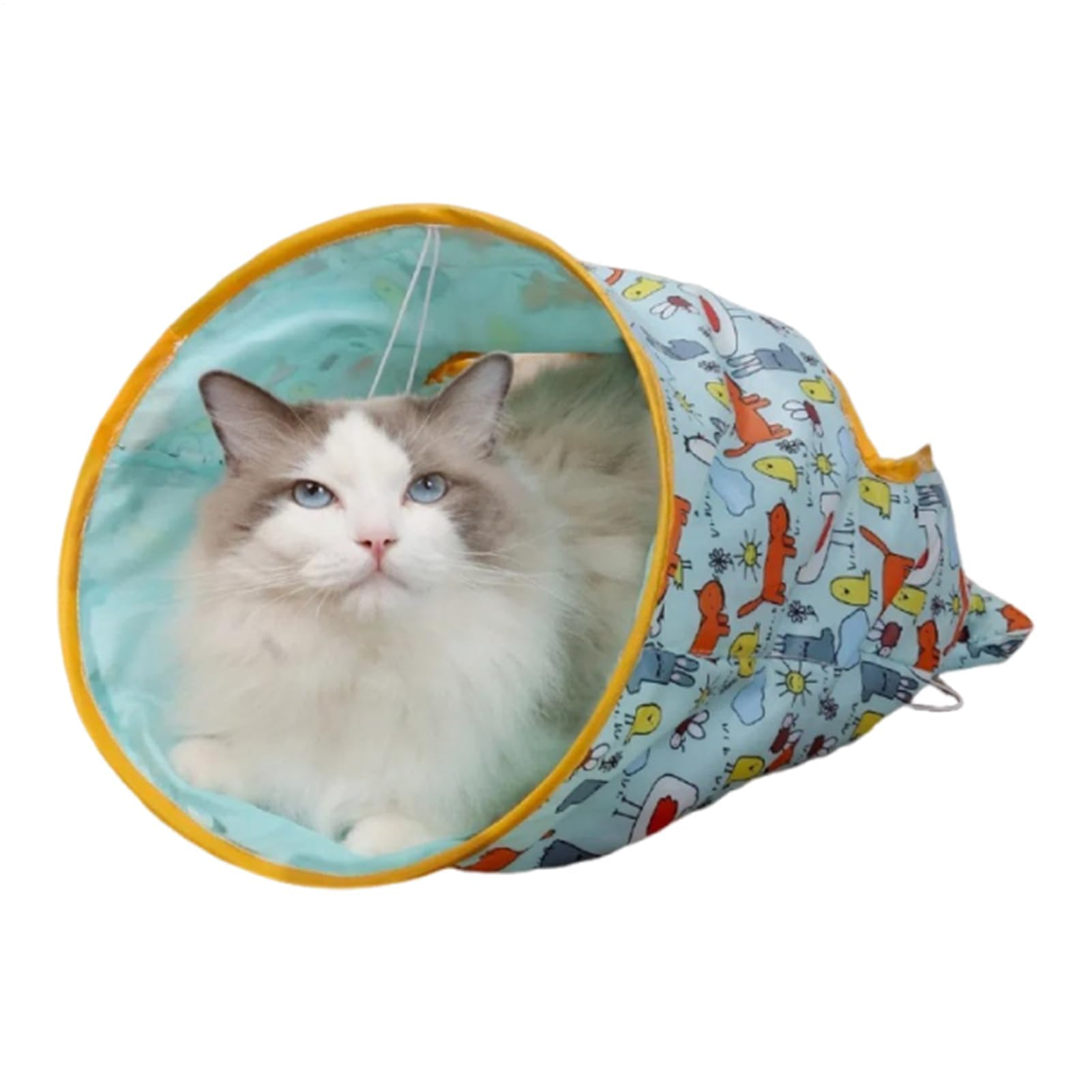 Amazon.co.jp: ネコ用遊びトンネル - サック型カシャカシャ音付き