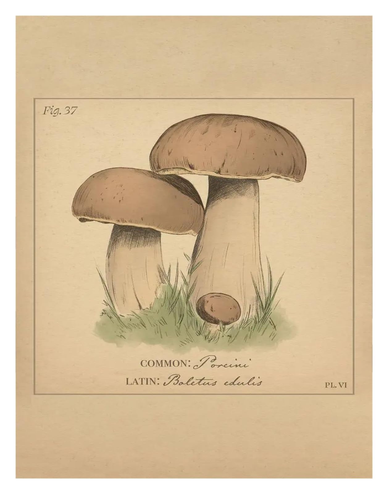Tableau déco nature forêt pour créer une ambiance chalet cosy dans votre salon