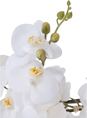 Miniatura 5 de Dahlia Studios Arreglos de flores artificiales artificiales en maceta, orquídea Phalaenopsis blanca realista en maceta de cerámica blanca para