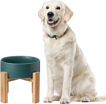 Raised Ceramic Large Dog Bowl - Heavy Weighted Dog Dish with Bamboo Stand - Elevated for Comfortable Feeding - 8.3" W x 8" H - 4.5 Cups 68 fl oz - Green