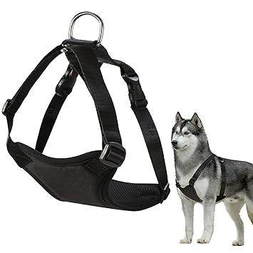 Futurekart Harness Vest for Puppies Adjustable Soft Nylon Puppy with Hook and Loop Straps (Harness Length 9 inch) (XL, Black)