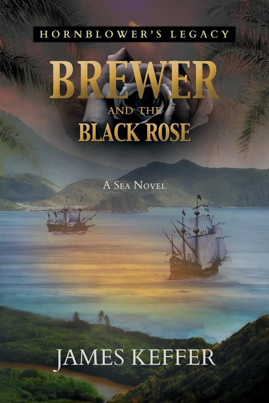Buy Brewer and The Black Rose — BookShops.in