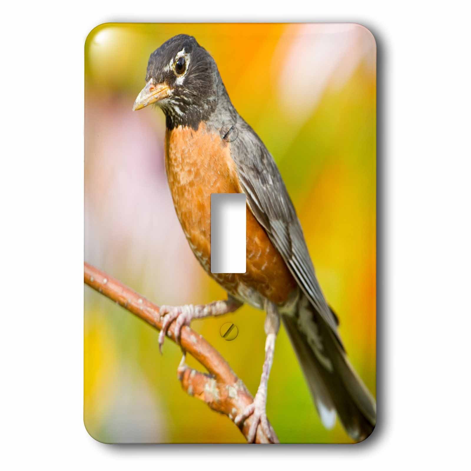 Interrupteur mural imprimé faune flore multicolore plaque bouton simple bascule