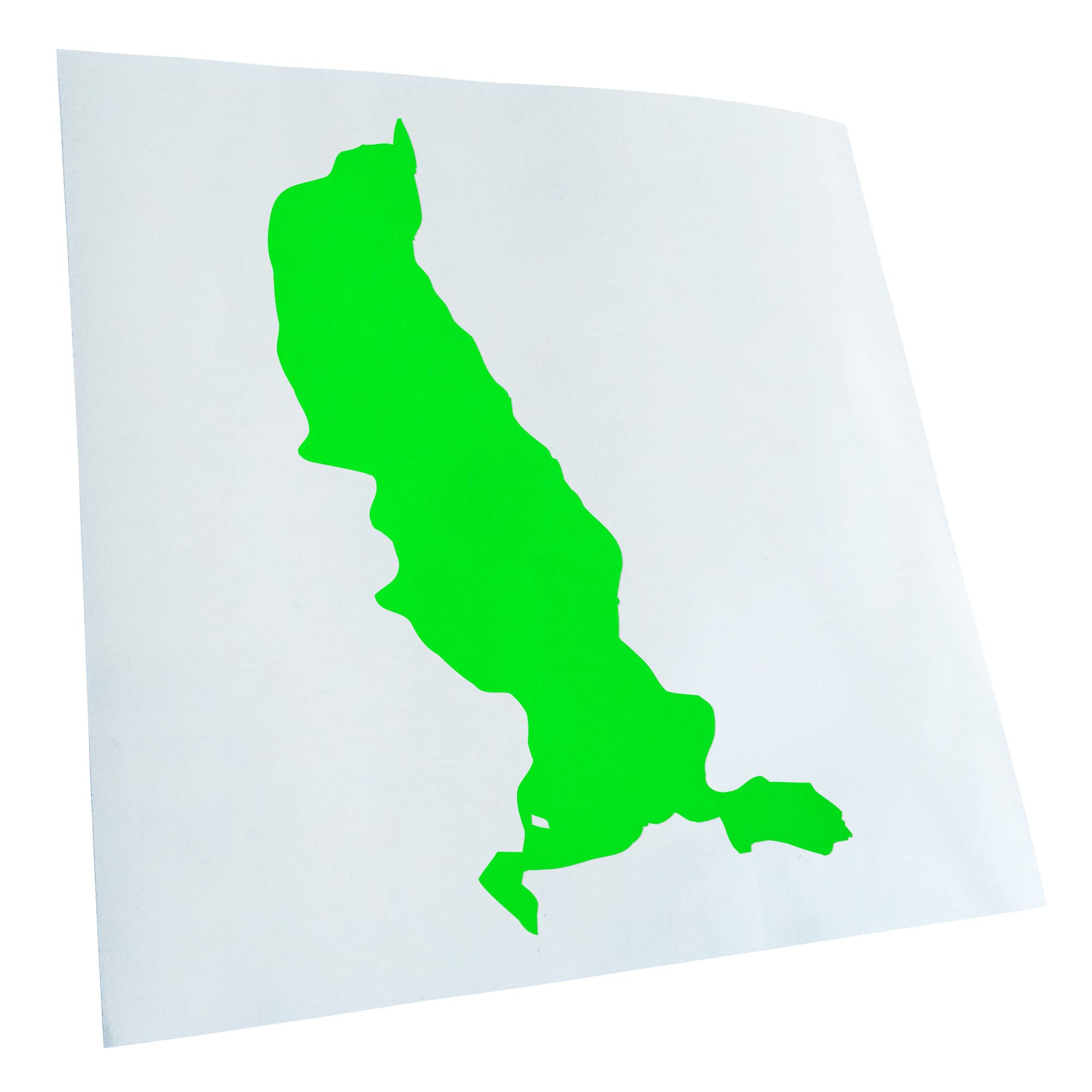 Kiwistar - Car Sticker - Neon Green - 40 x 25 cm Tegernsee Germany - Lake - Rear Window Car Sticker Weatherproof for Car Truck Moped Truck - Sticker Exterior Self-Adhesive Tuning Accessories for