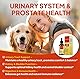 Hunde und Katzen Harnweg- und Prostata-Support (Urinary & Prostate) Gesundheit Kräuterergänzung für Haustiere, 60 ml, mit Kürbiskern, Sägepalme, Brennnessel und Cranberry
