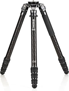 BENRO TMTH44C マンモス カーボン三脚 耐荷重25kg 最大脚36.2mm ローアングル撮影 4型4段 国内正規品