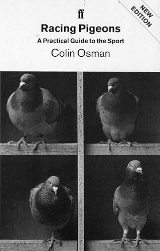 Racing Pigeons