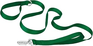 Country Brook Petz - Deluxe Nylon Dog Leash with Traffic Handle and Extra Secure Snap - 30+ Colors (3/4 Inch Wide, Christmas Green)
